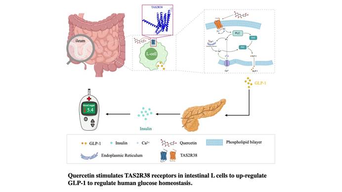 图示AI 生成的内容可能不正确。