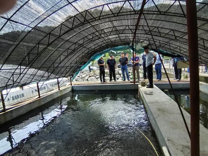 804d1afa22bd1517e58e27f5e424eb6